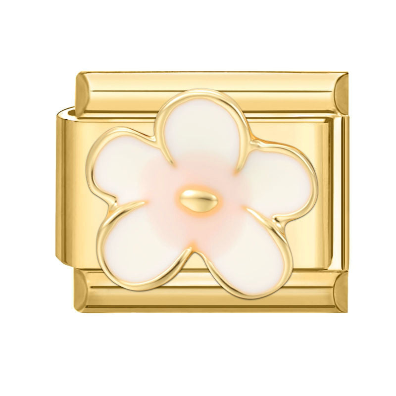 Fleur blanche et rose
