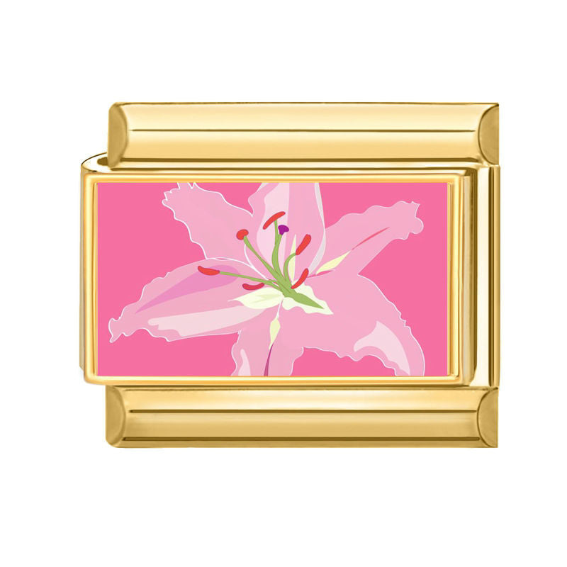 Lys rose